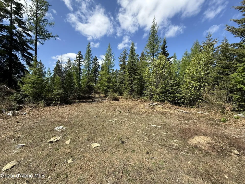 371 Upriver View Drive Fernwood, ID 83830