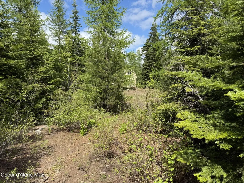 371 Upriver View Drive Fernwood, ID 83830