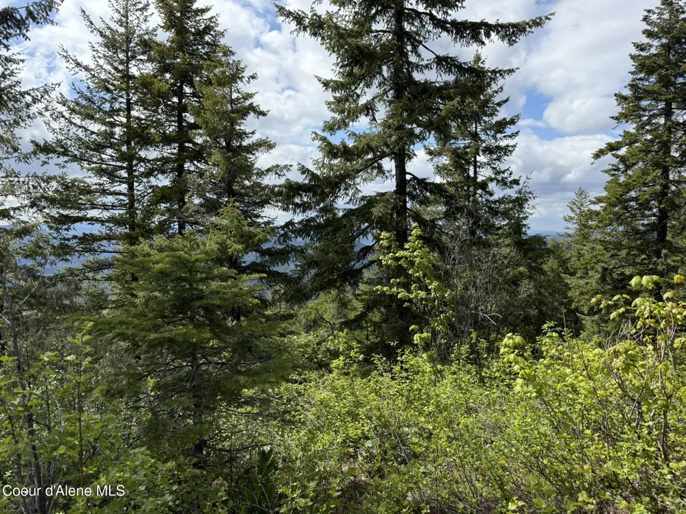 371 Upriver View Drive Fernwood, ID 83830