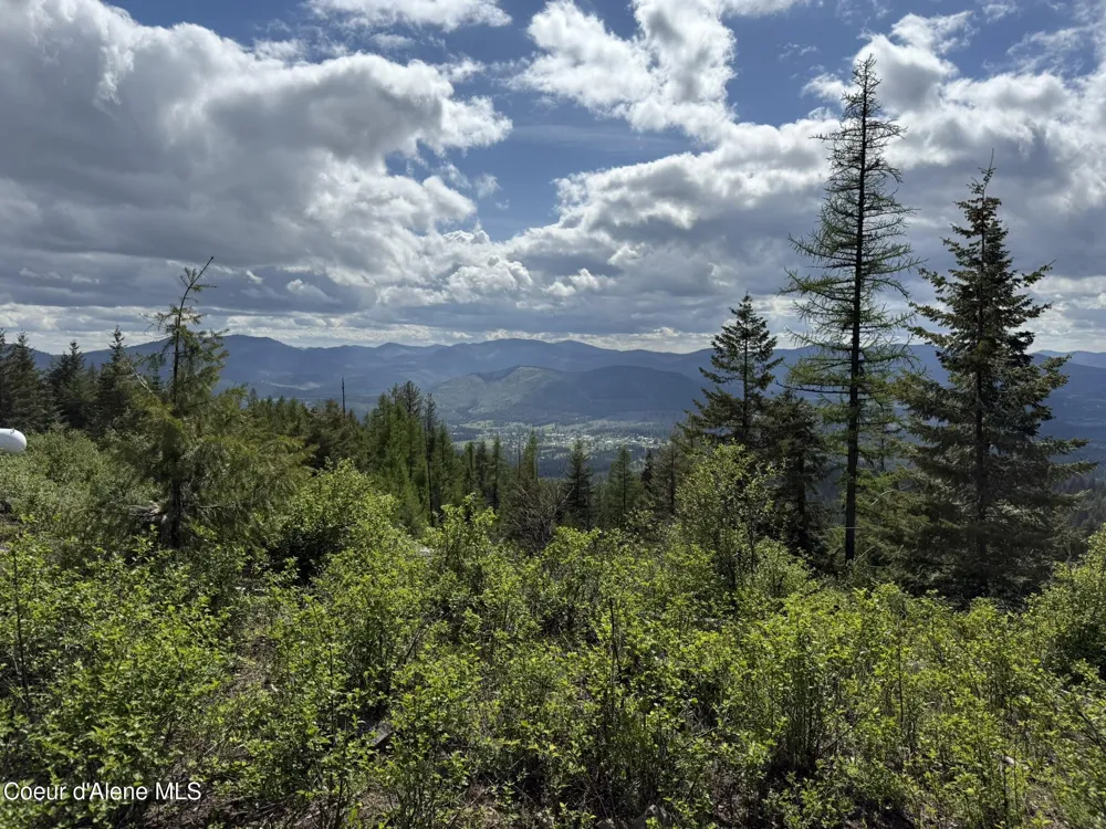 371 Upriver View Drive Fernwood, ID 83830
