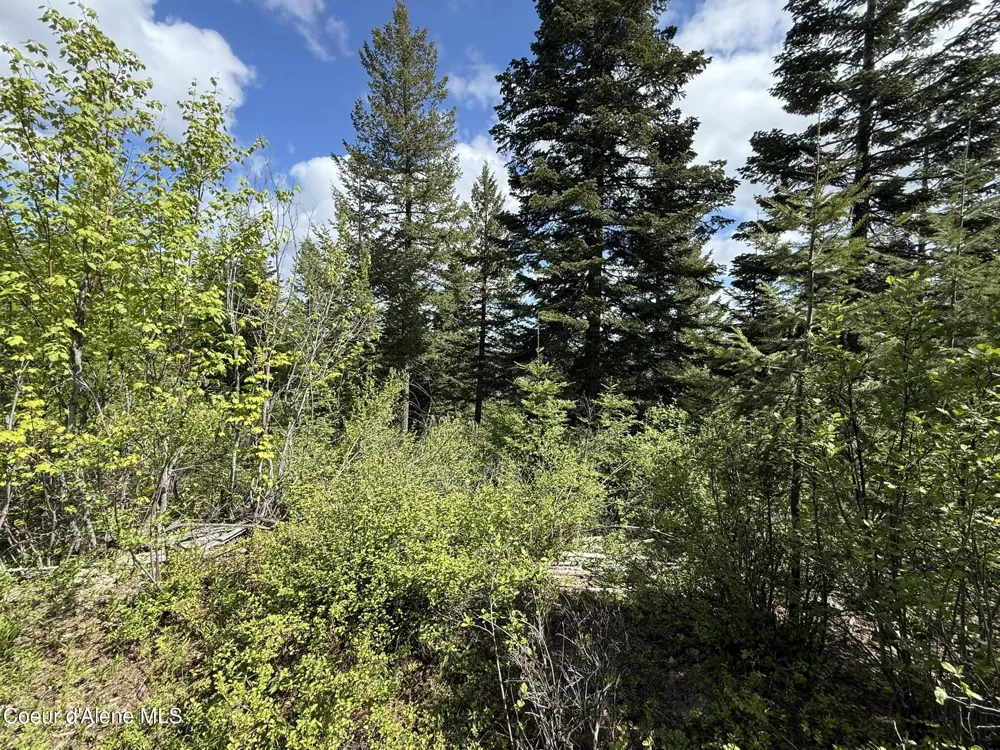 371 Upriver View Drive Fernwood, ID 83830