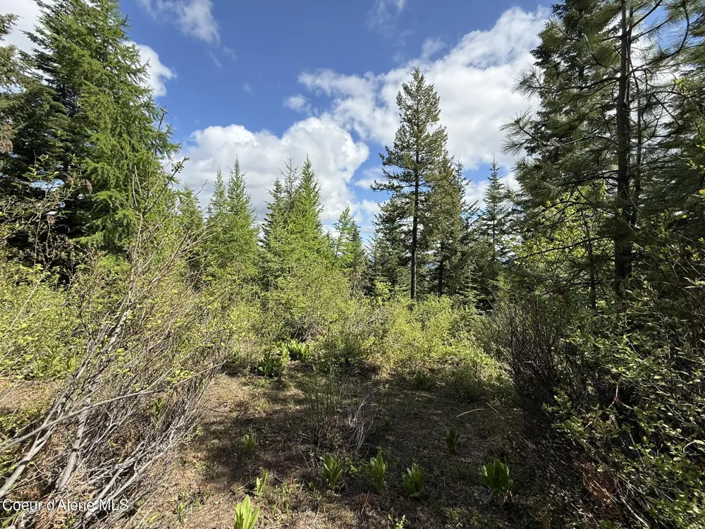 371 Upriver View Drive Fernwood, ID 83830