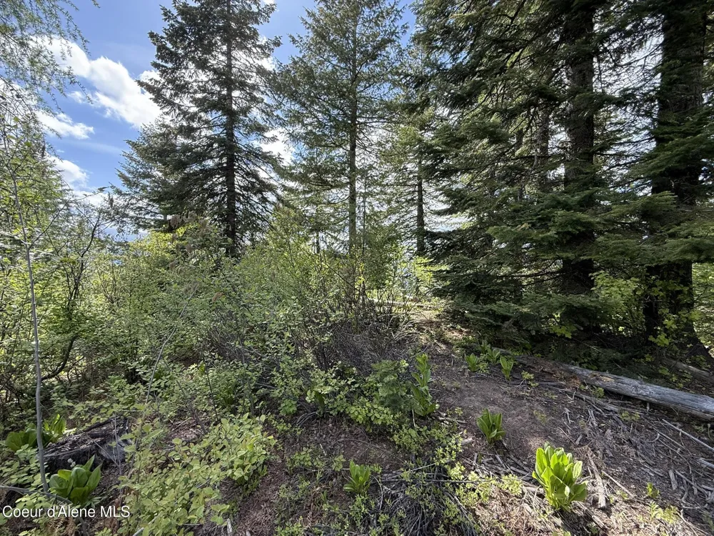 371 Upriver View Drive Fernwood, ID 83830