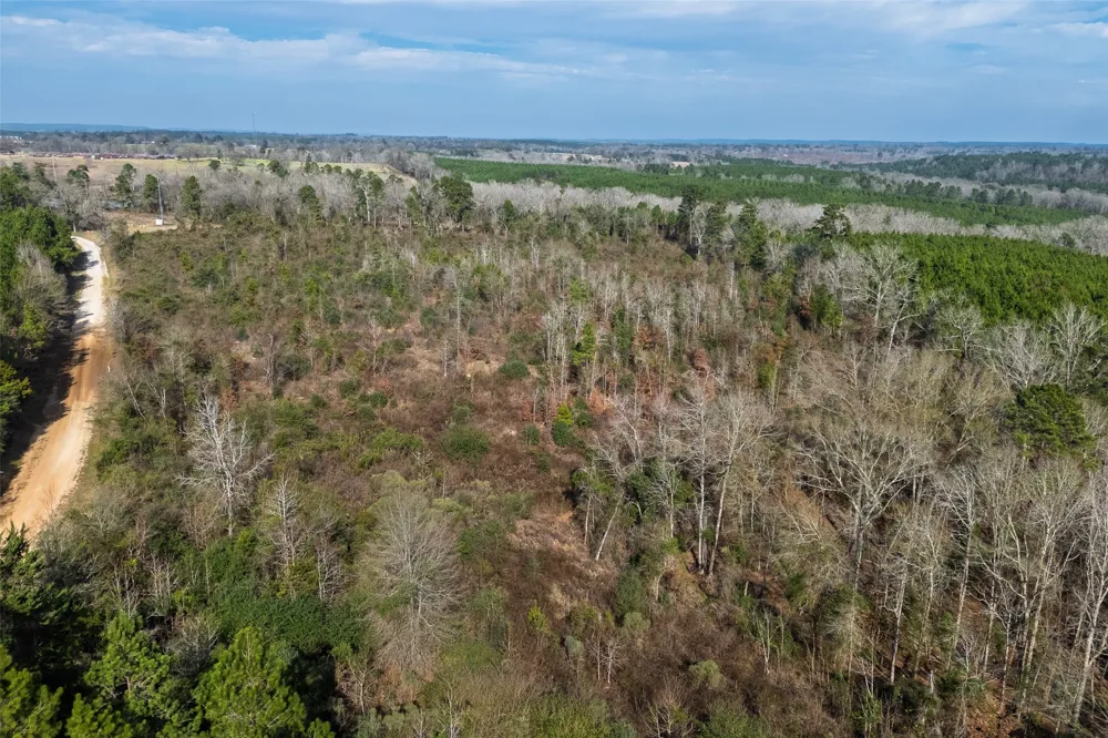 County Road 1247 Center, TX 75935