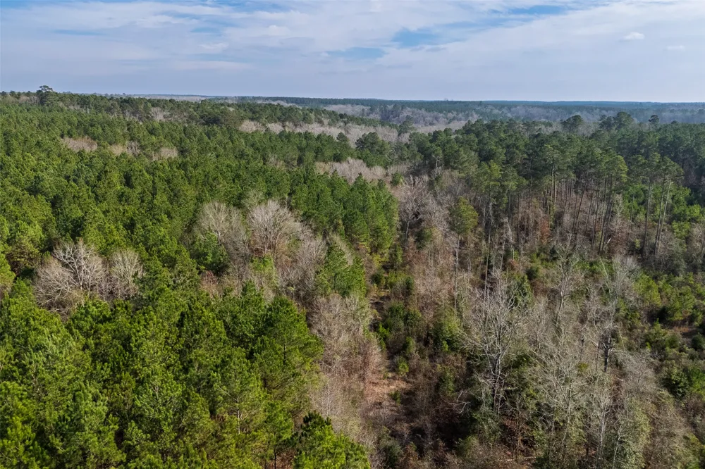 County Road 1247 Center, TX 75935