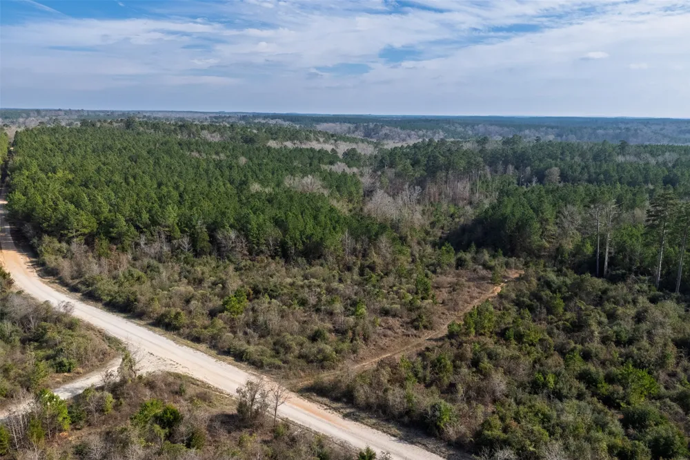 County Road 1247 Center, TX 75935