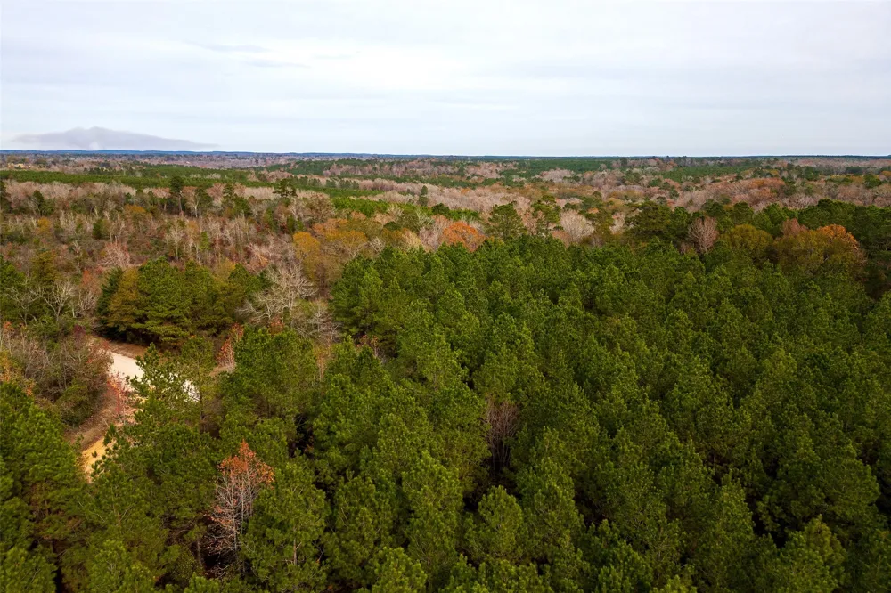 County Road 1247 Center, TX 75935