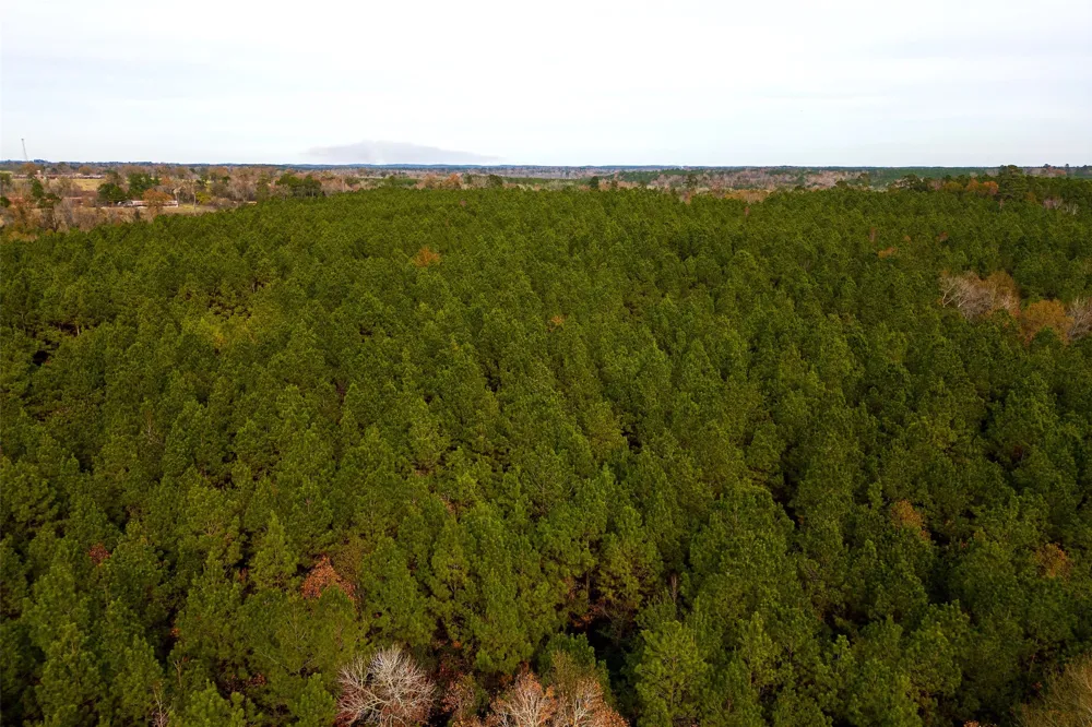 County Road 1247 Center, TX 75935