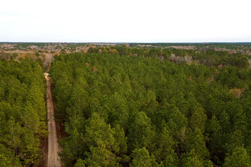 County Road 1247 Center, TX 75935