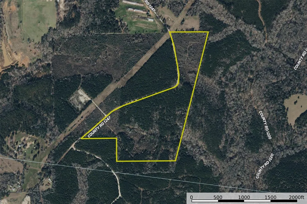 County Road 1247 Center, TX 75935