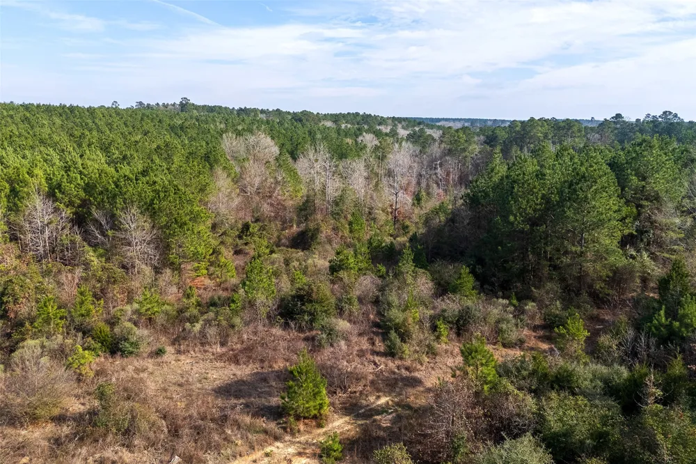 County Road 1247 Center, TX 75935