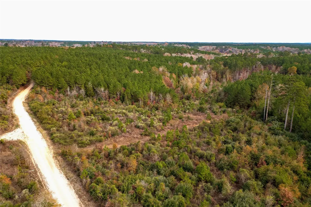 County Road 1247 Center, TX 75935