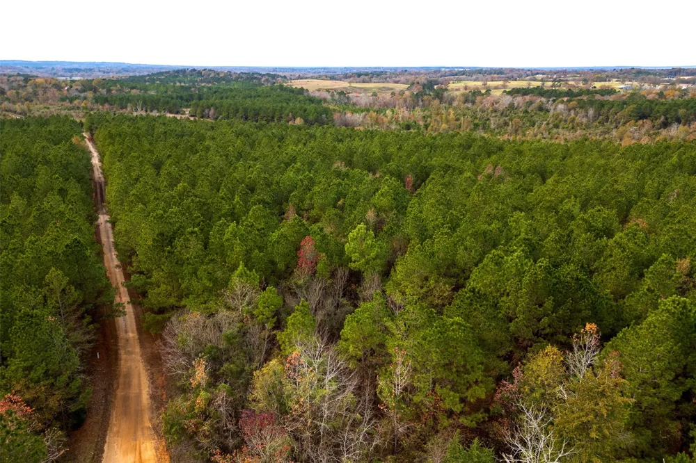 County Road 1247 Center, TX 75935