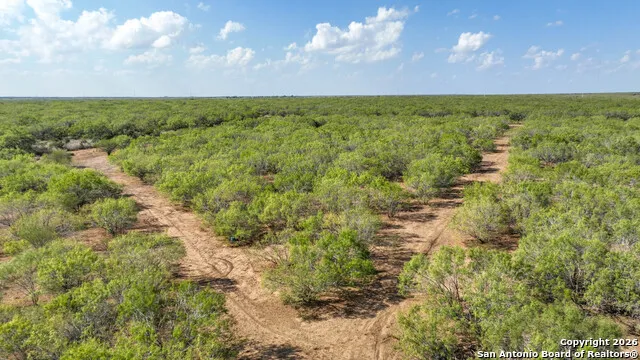 6472 Bluntzer Rd Jourdanton, TX 78026