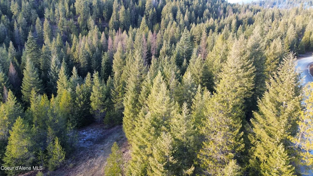 L7 B1 KELSO WOODS DRIVE Athol, ID 83801