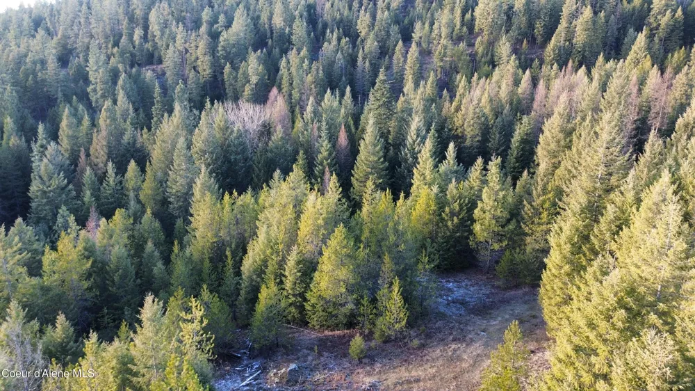 L7 B1 KELSO WOODS DRIVE Athol, ID 83801