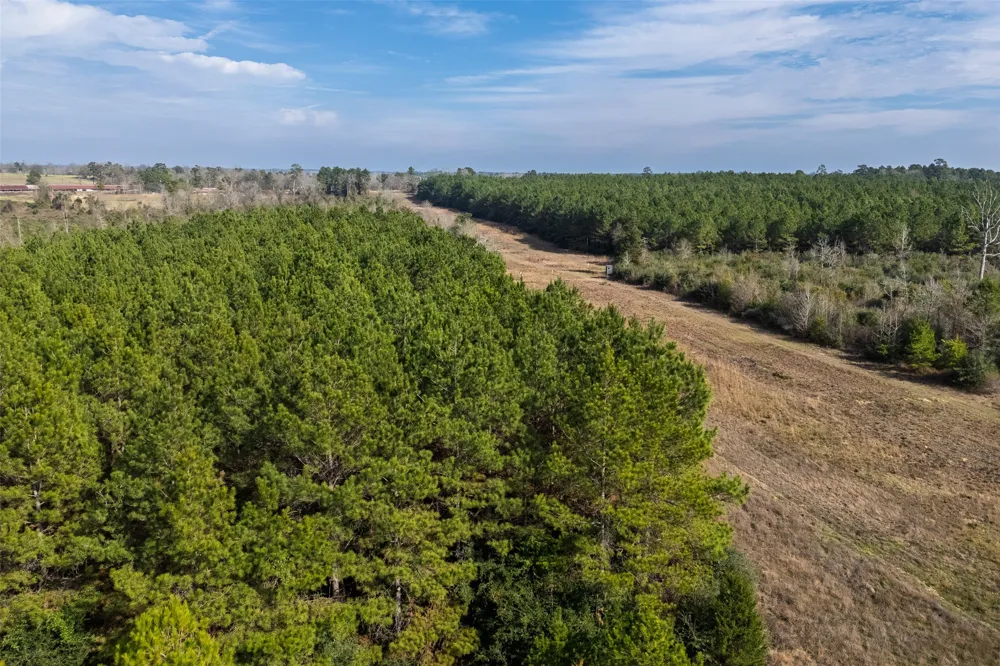 County Road 1245 Center, TX 75935