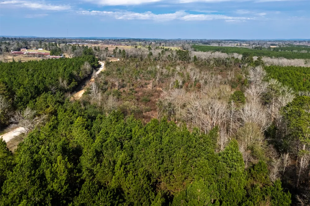 County Road 1245 Center, TX 75935
