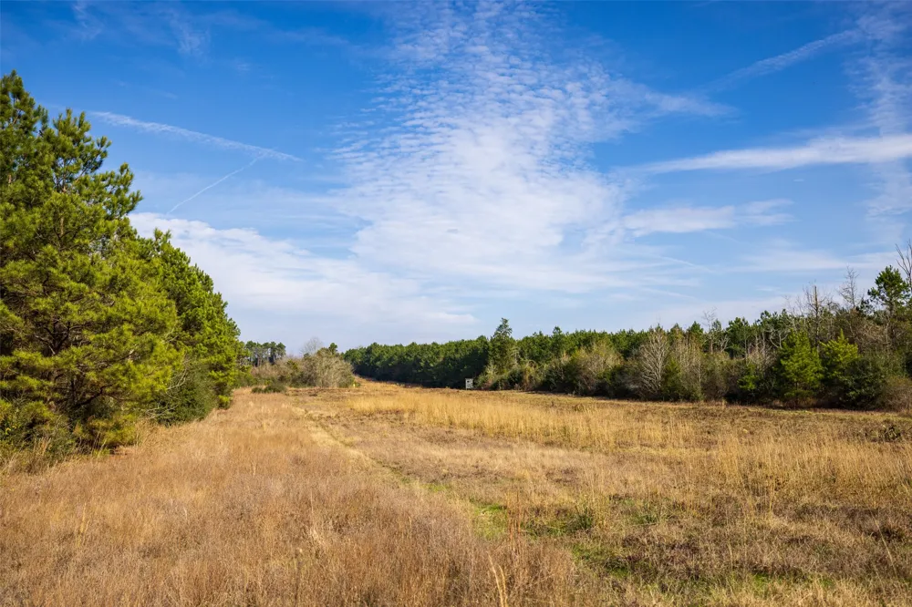 County Road 1245 Center, TX 75935