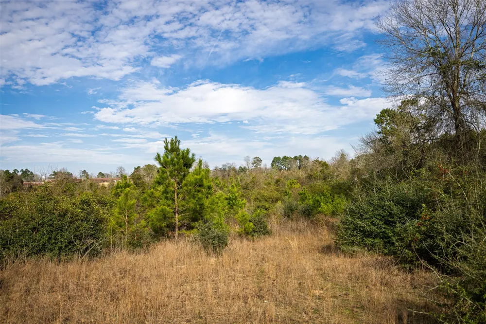 County Road 1245 Center, TX 75935