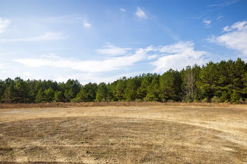 County Road 1245 Center, TX 75935
