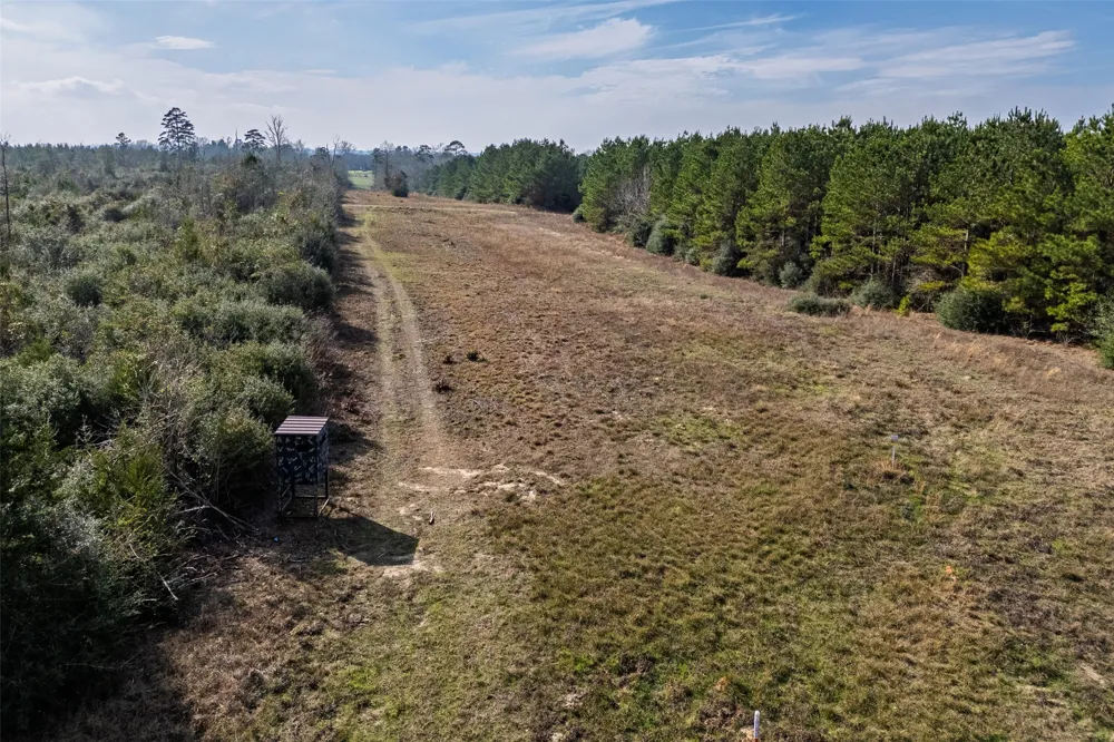 County Road 1245 Center, TX 75935