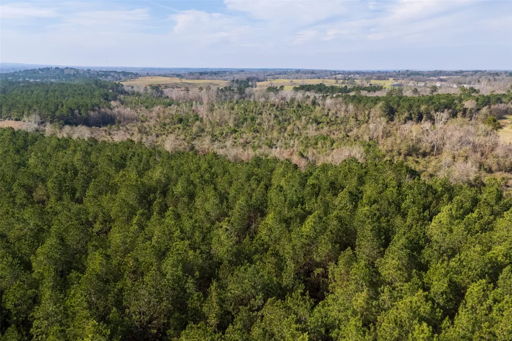 County Road 1245 Center, TX 75935