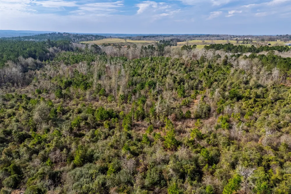 County Road 1245 Center, TX 75935