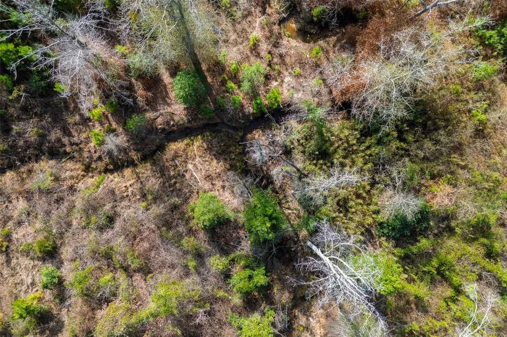 County Road 1245 Center, TX 75935