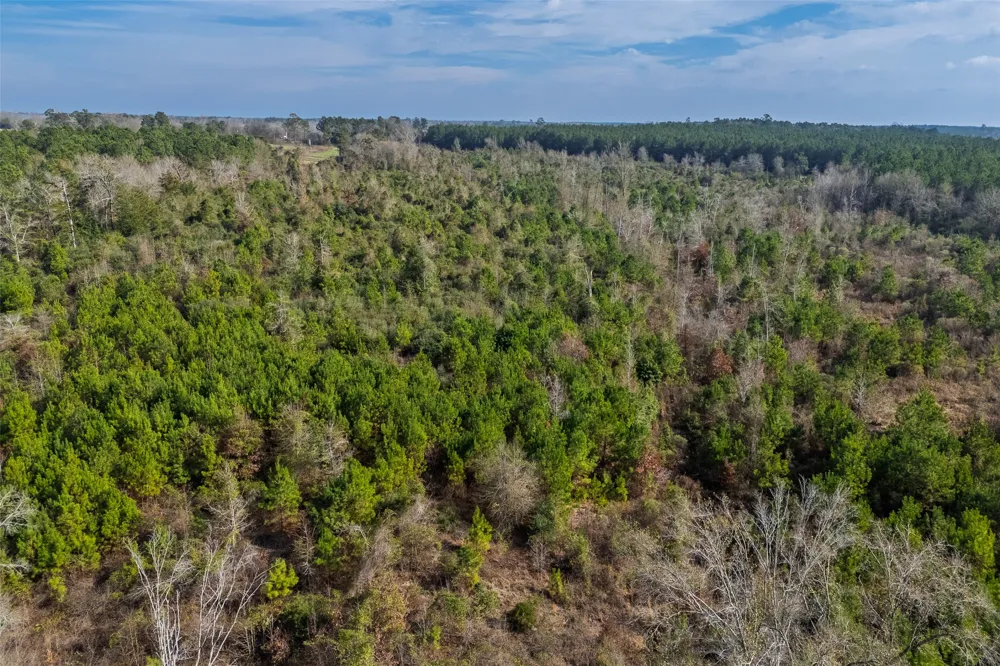 County Road 1245 Center, TX 75935