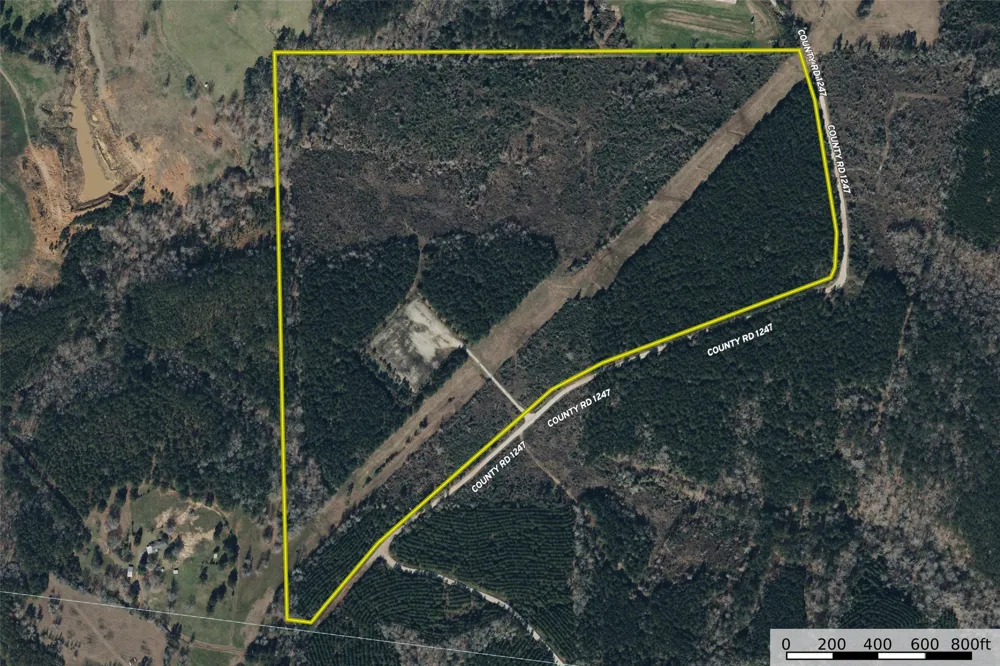 County Road 1245 Center, TX 75935