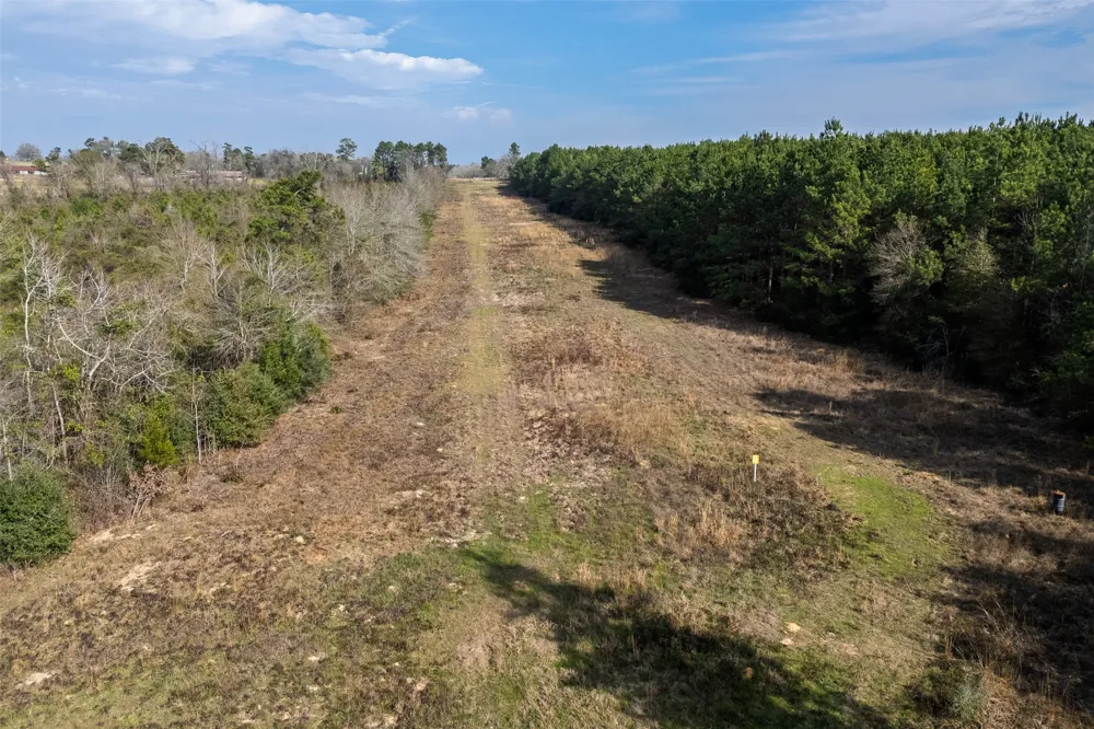County Road 1245 Center, TX 75935