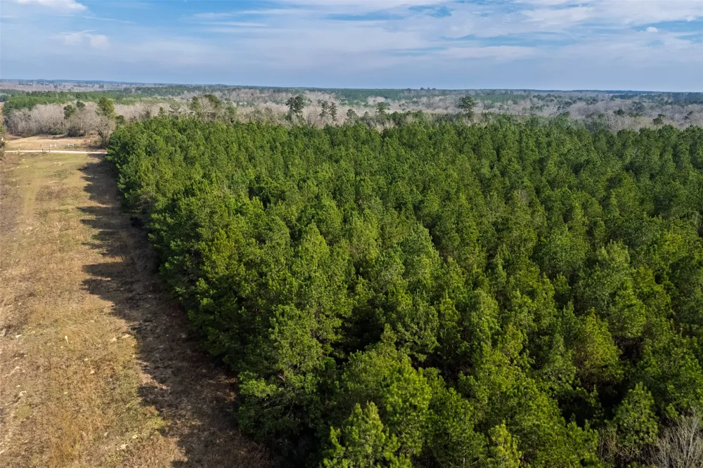County Road 1245 Center, TX 75935