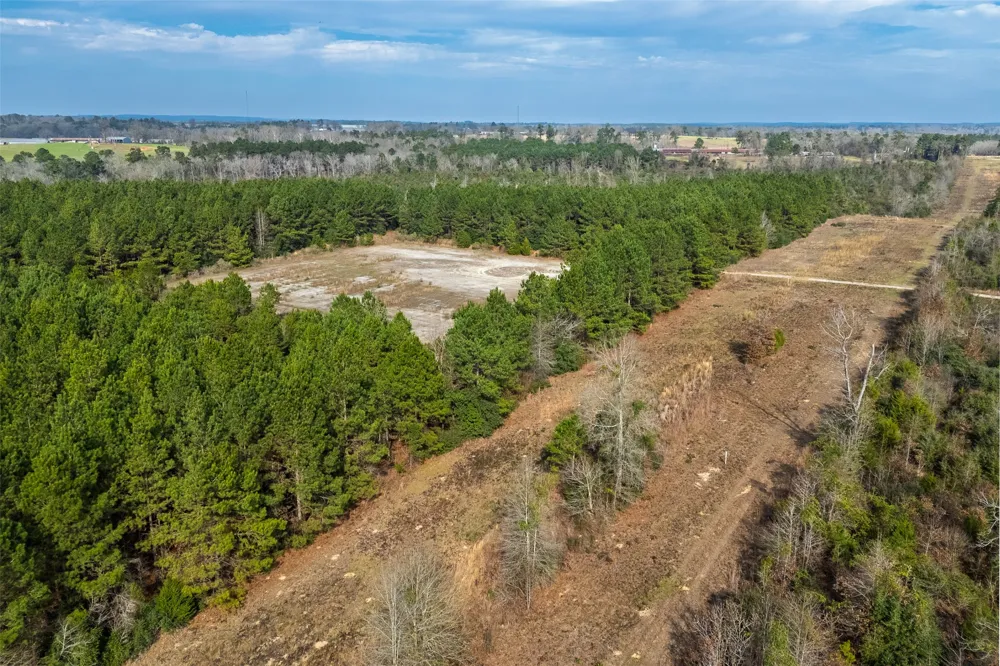 County Road 1245 Center, TX 75935