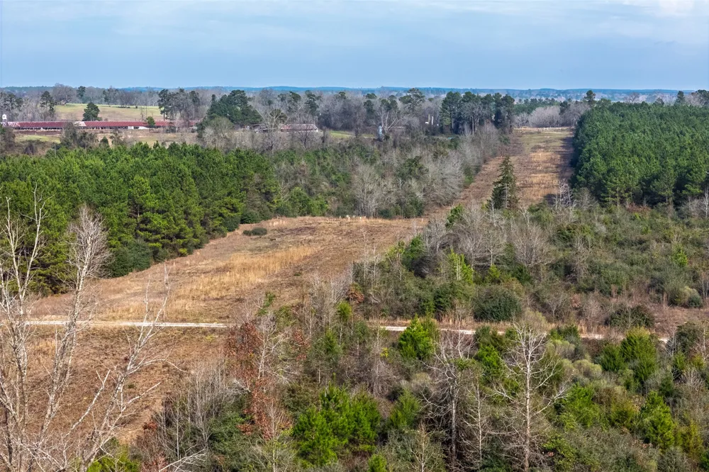 County Road 1245 Center, TX 75935