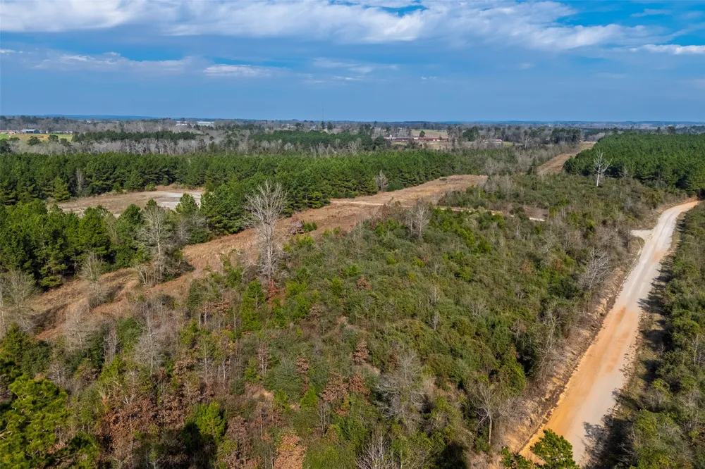 County Road 1245 Center, TX 75935