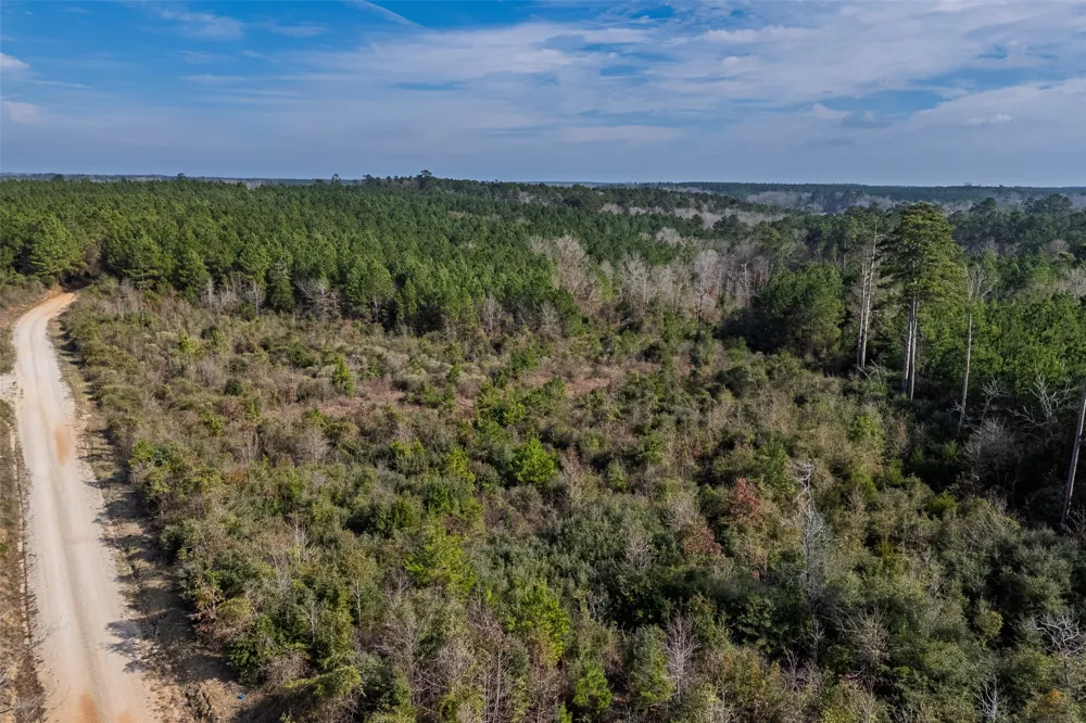 County Road 1245 Center, TX 75935