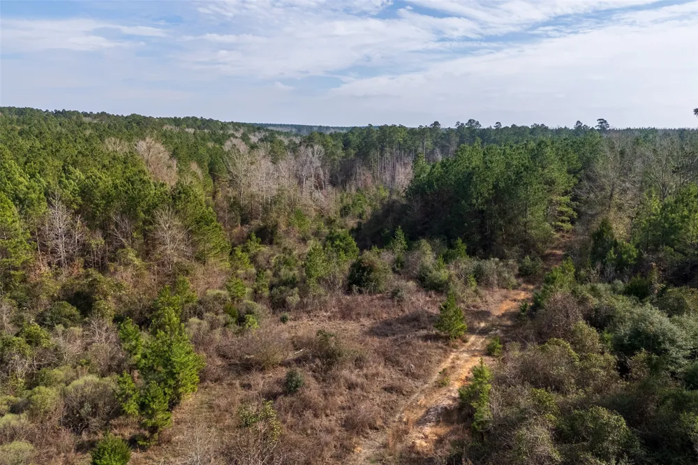 County Road 1245 Center, TX 75935
