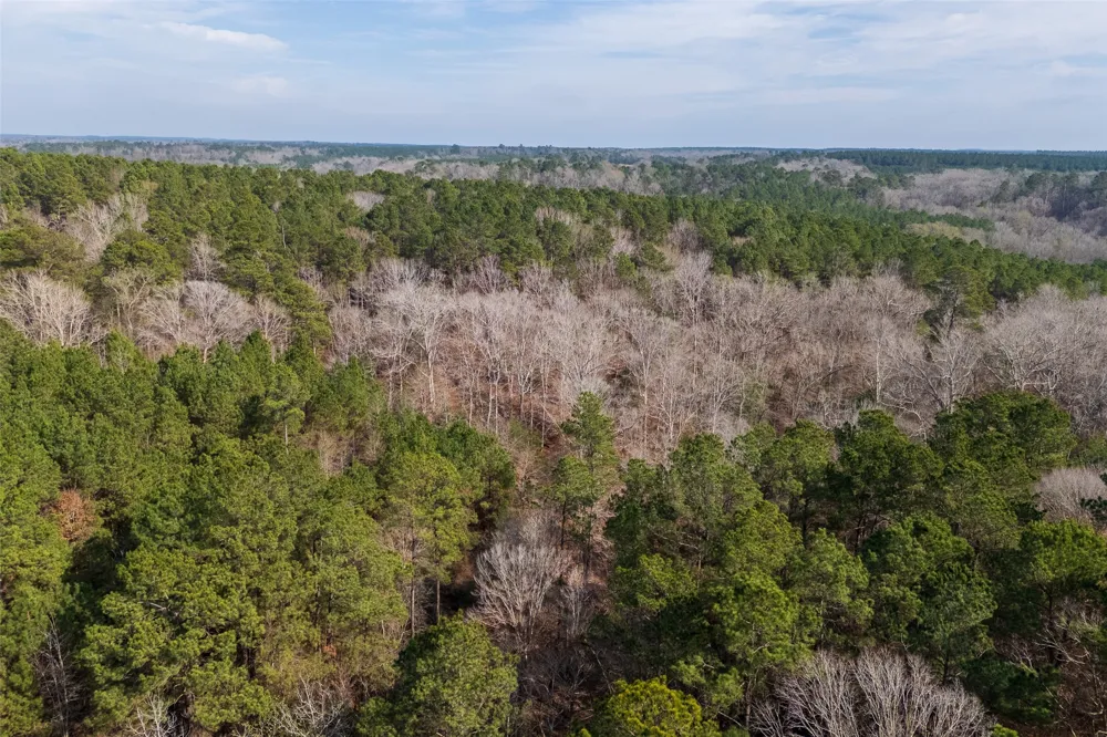 County Road 1245 Center, TX 75935