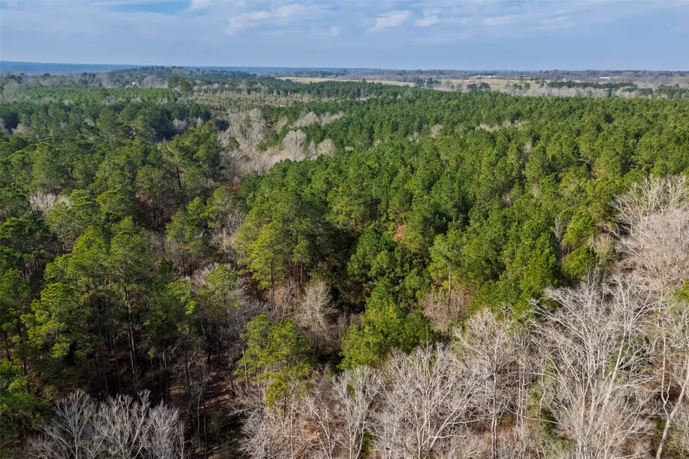 County Road 1245 Center, TX 75935
