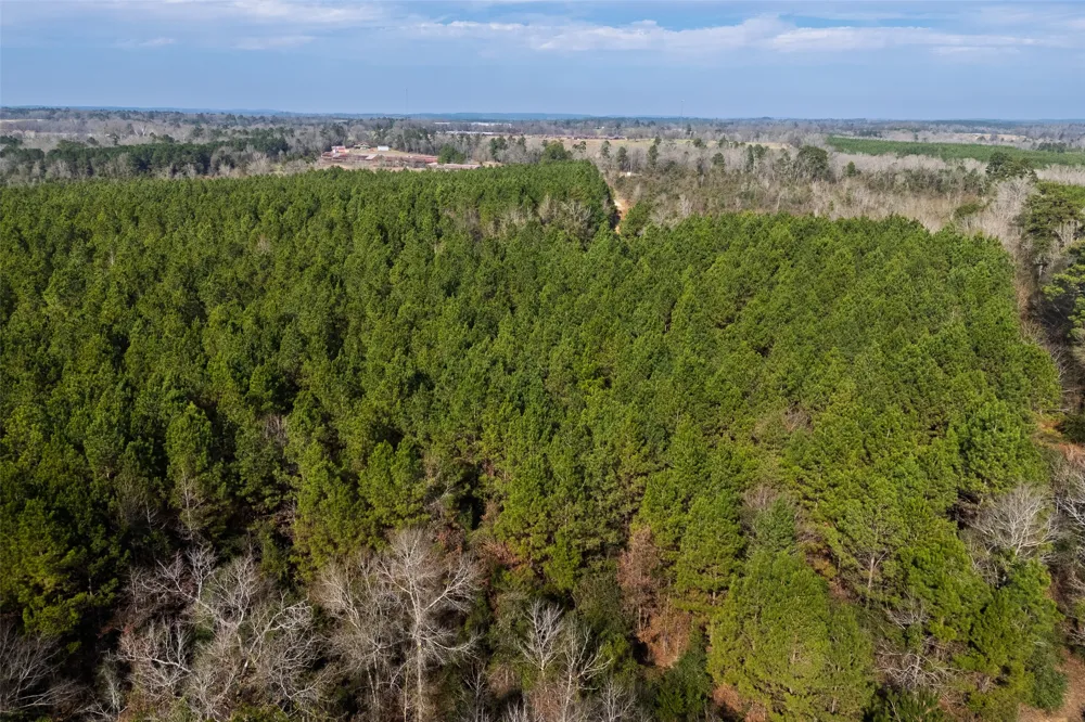 County Road 1245 Center, TX 75935