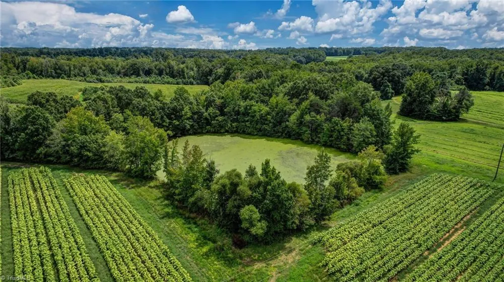 00 Ol Road Reidsville, NC 27320