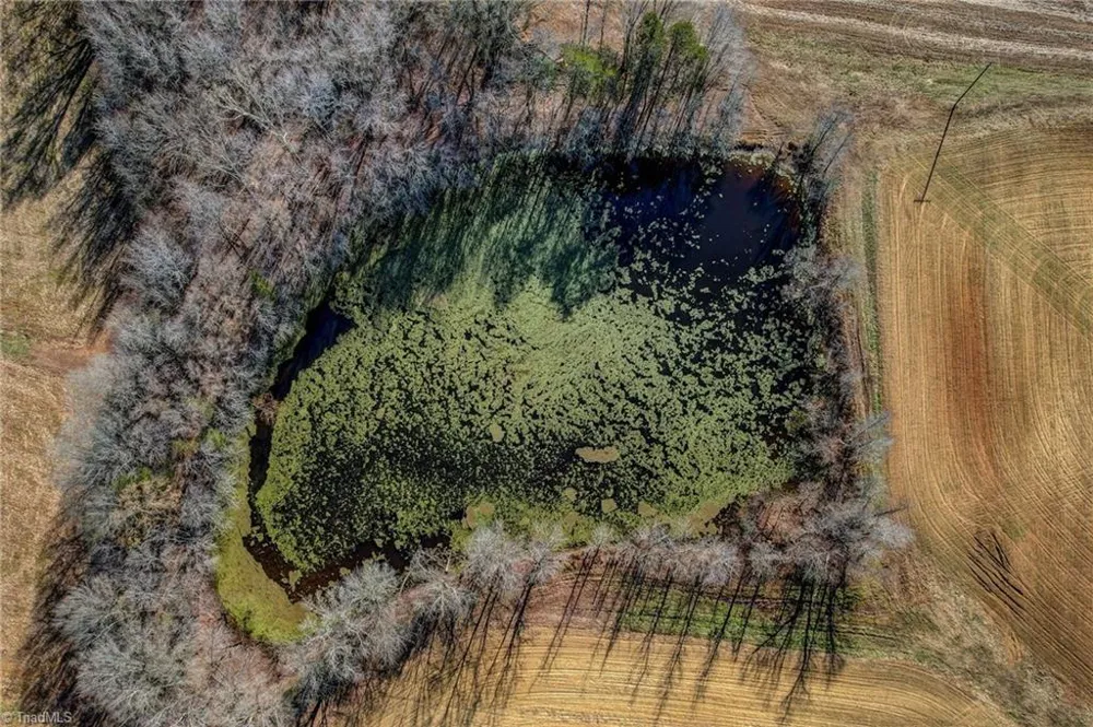 00 Ol Road Reidsville, NC 27320