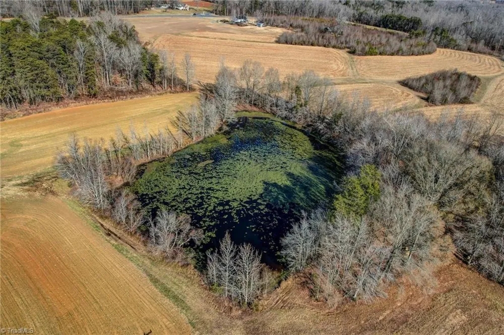 00 Ol Road Reidsville, NC 27320