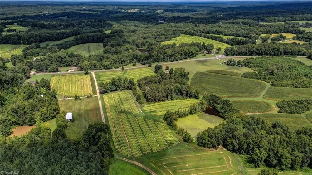 00 Ol Road Reidsville, NC 27320