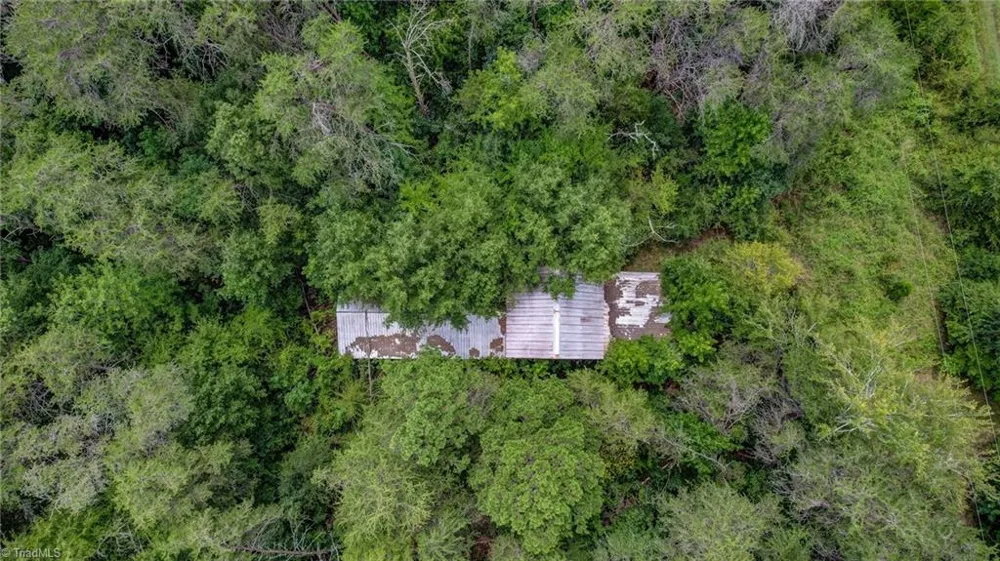 00 Ol Road Reidsville, NC 27320