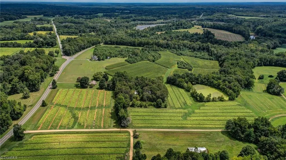 00 Ol Road Reidsville, NC 27320