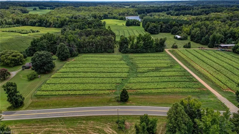 00 Ol Road Reidsville, NC 27320