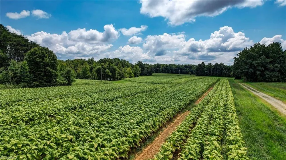 00 Ol Road Reidsville, NC 27320