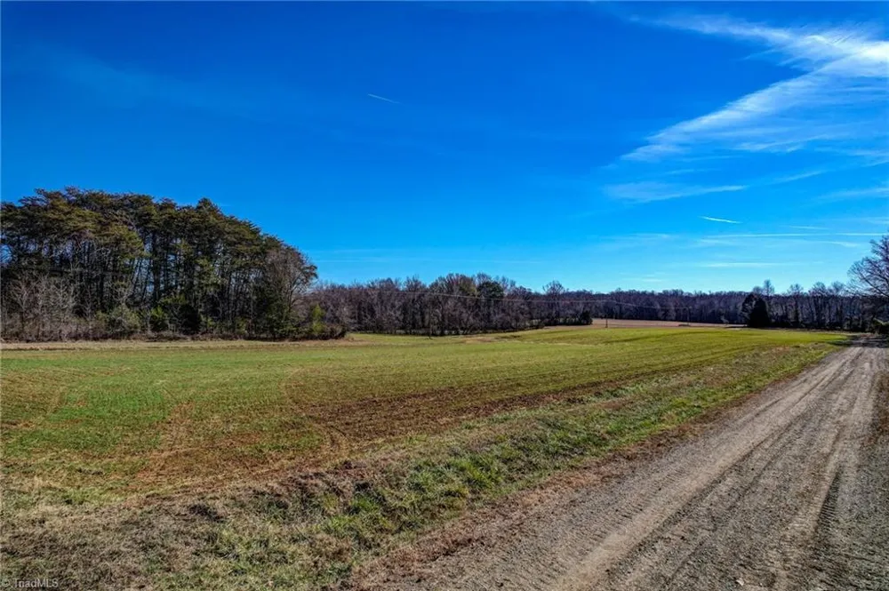 00 Ol Road Reidsville, NC 27320